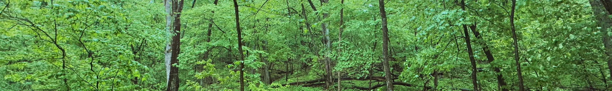 Ice Age Trail, Cross Plains WI