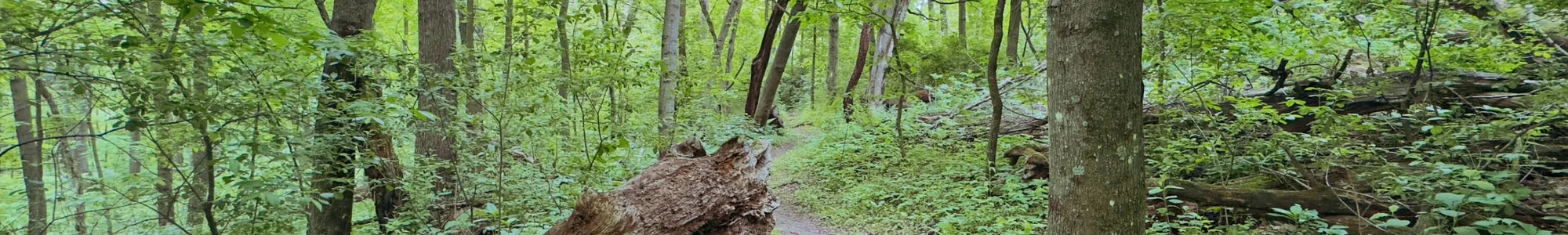 Ice Age Trail, Cross Plains WI
